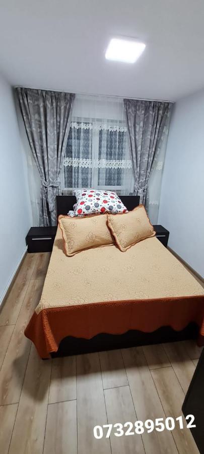 Apartament Bianca Câmpulung Moldovenesc المظهر الخارجي الصورة